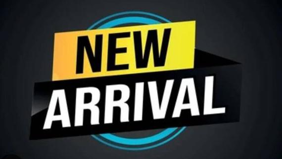 JEEP GRAND CHEROKEE 2020 1C4RJEAGXLC404827 image